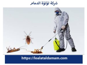 شركة إبادة حشرات بالدمام